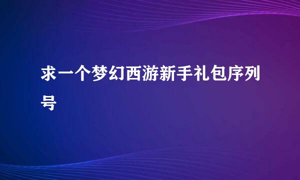 求一个梦幻西游新手礼包序列号