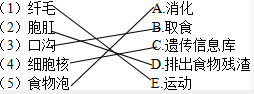 将草履虫结构与功能对应