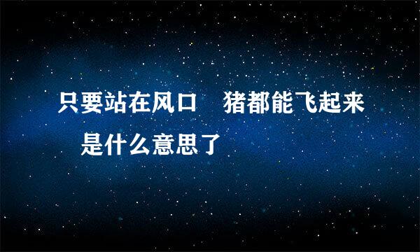 只要站在风口 猪都能飞起来 是什么意思了