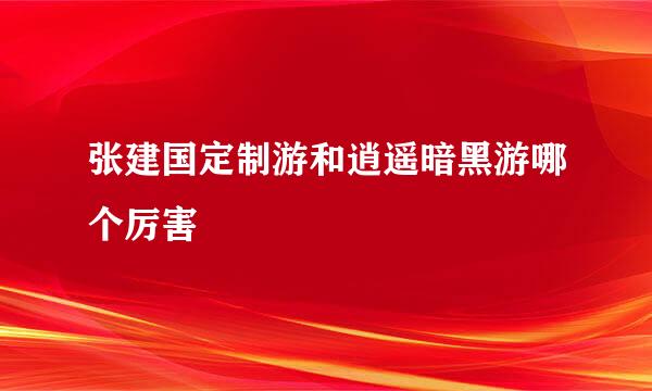 张建国定制游和逍遥暗黑游哪个厉害