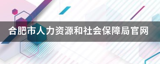 合肥市人力资源来自和社会保障局官网