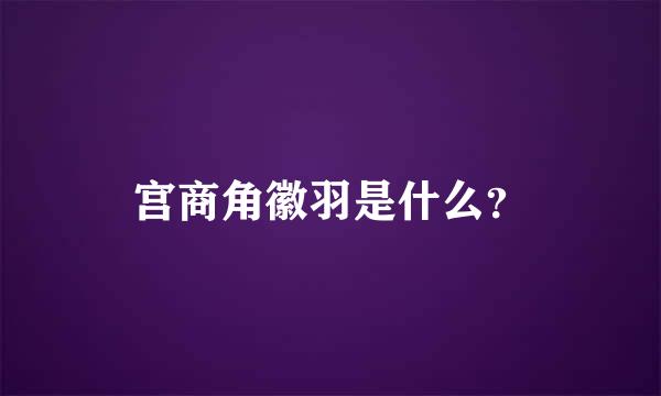 宫商角徽羽是什么？