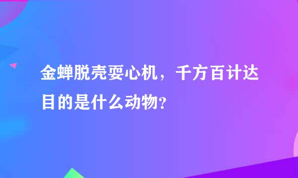 金蝉脱壳耍心机，千方百计达目的是什么动物？