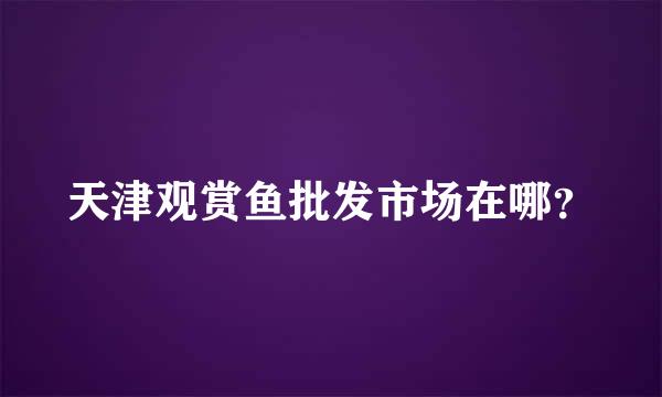 天津观赏鱼批发市场在哪？