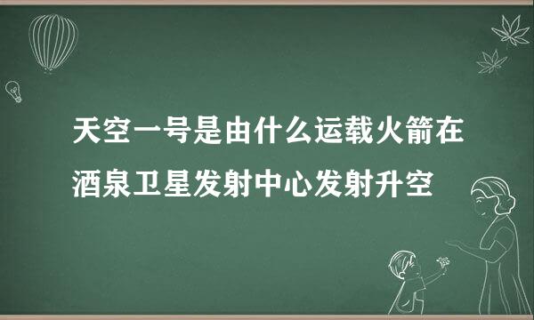 天空一号是由什么运载火箭在酒泉卫星发射中心发射升空