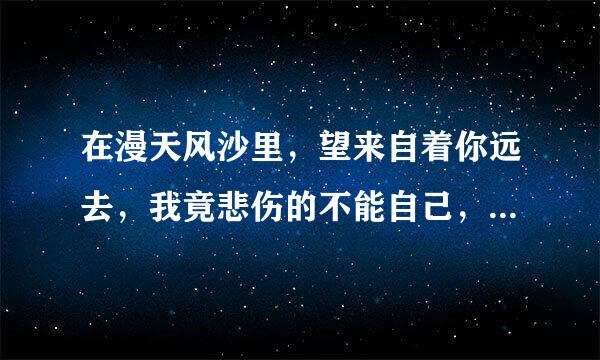 在漫天风沙里，望来自着你远去，我竟悲伤的不能自己，是哪首歌的歌词？