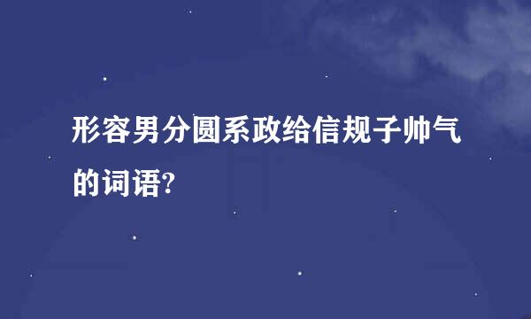 形容男分圆系政给信规子帅气的词语?