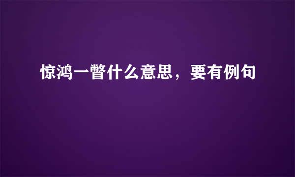 惊鸿一瞥什么意思，要有例句