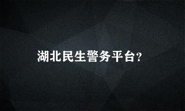 湖北民生警务平台？