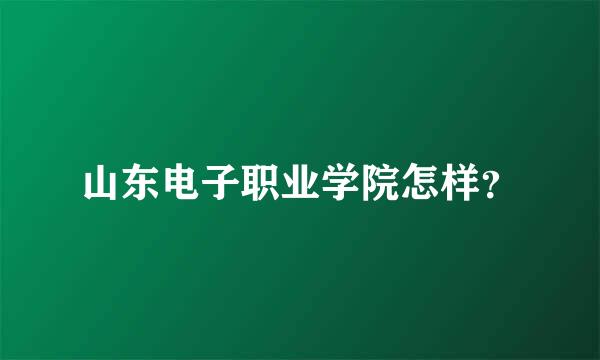 山东电子职业学院怎样？