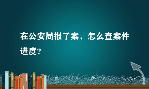 在公安局报了案，怎么查案件进度？