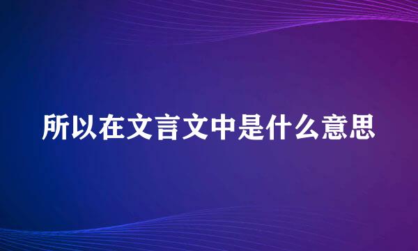 所以在文言文中是什么意思