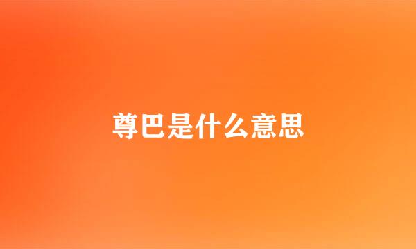 尊巴是什么意思