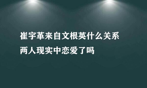 崔宇革来自文根英什么关系 两人现实中恋爱了吗