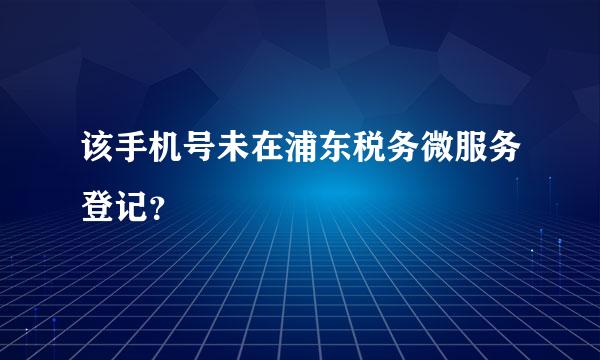 该手机号未在浦东税务微服务登记？