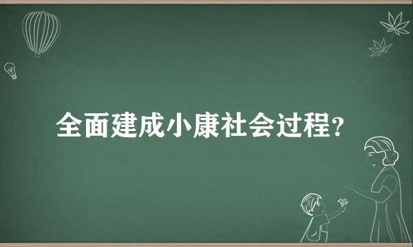 全面建成小康社会过程？