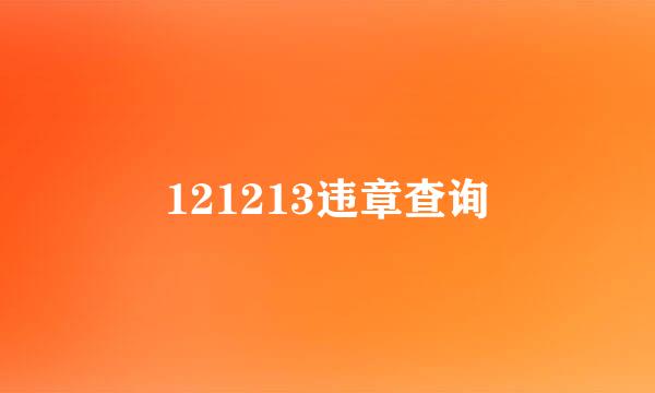 121213违章查询