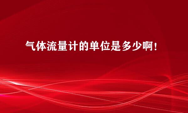 气体流量计的单位是多少啊！