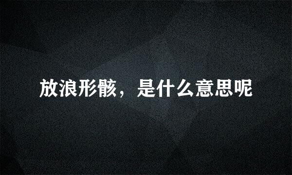 放浪形骸，是什么意思呢