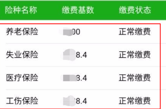 怎样查询新农保个人账户