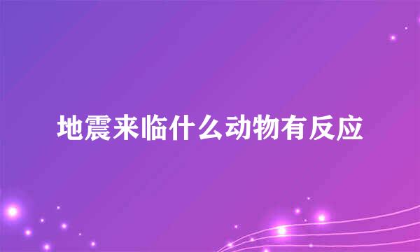 地震来临什么动物有反应