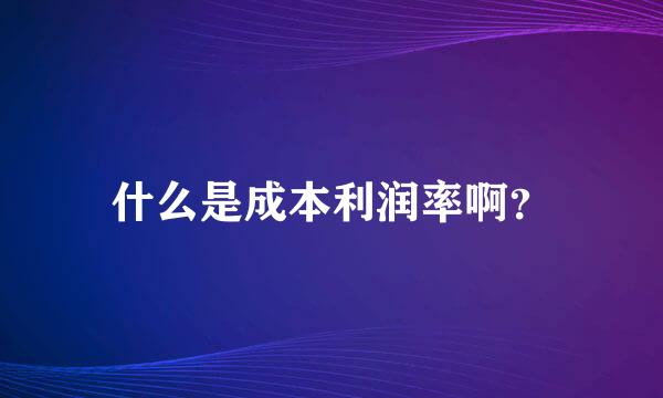 什么是成本利润率啊？