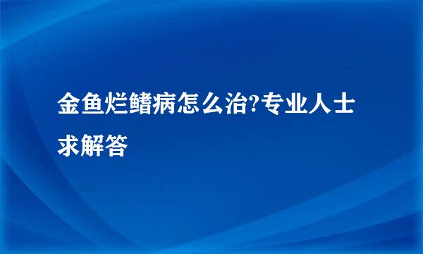 金鱼烂鳍病怎么治?专业人士求解答