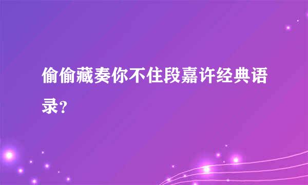 偷偷藏奏你不住段嘉许经典语录？