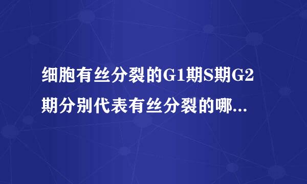 细胞有丝分裂的G1期S期G2期分别代表有丝分裂的哪几个时期？时间长短？