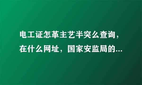 电工证怎革主艺半突么查询，在什么网址，国家安监局的网站是多少。