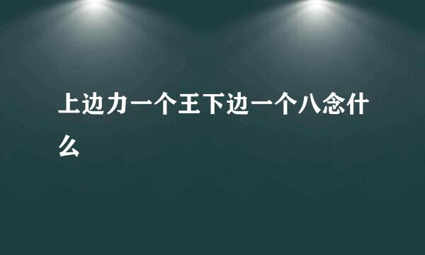 上边力一个王下边一个八念什么