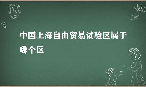 中国上海自由贸易试验区属于哪个区