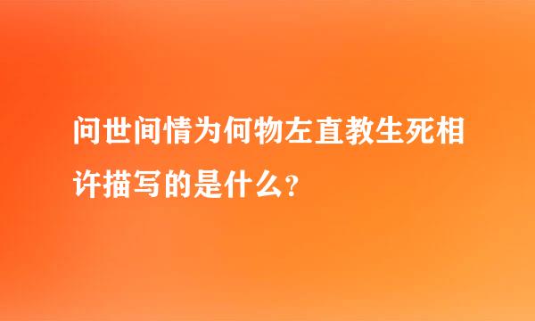 问世间情为何物左直教生死相许描写的是什么？