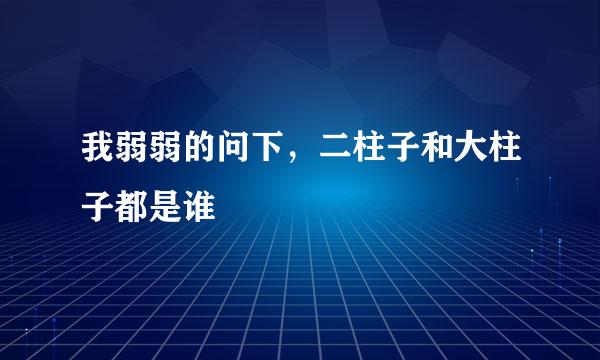 我弱弱的问下，二柱子和大柱子都是谁