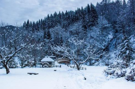 江雪这首诗的意思是什么?