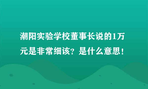 潮阳实验学校董事长说的1万元是非常细该？是什么意思！