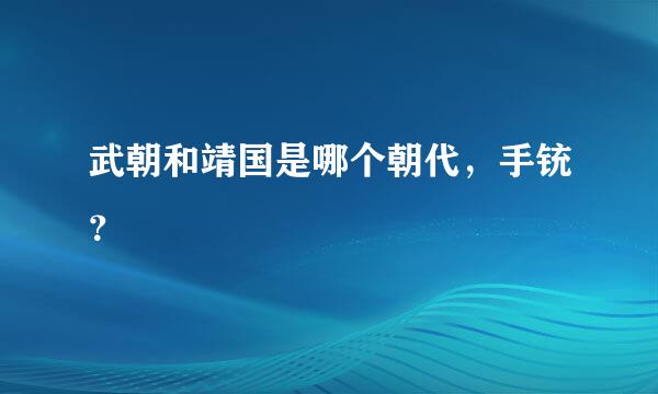 武朝和靖国是哪个朝代，手铳？