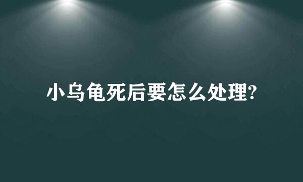 小乌龟死后要怎么处理?