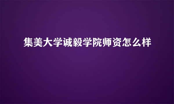 集美大学诚毅学院师资怎么样