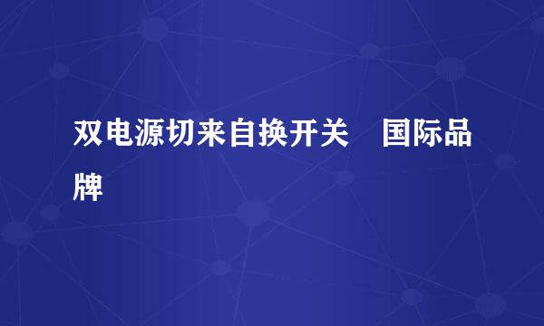 双电源切来自换开关 国际品牌