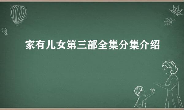 家有儿女第三部全集分集介绍