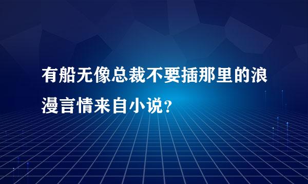 有船无像总裁不要插那里的浪漫言情来自小说？