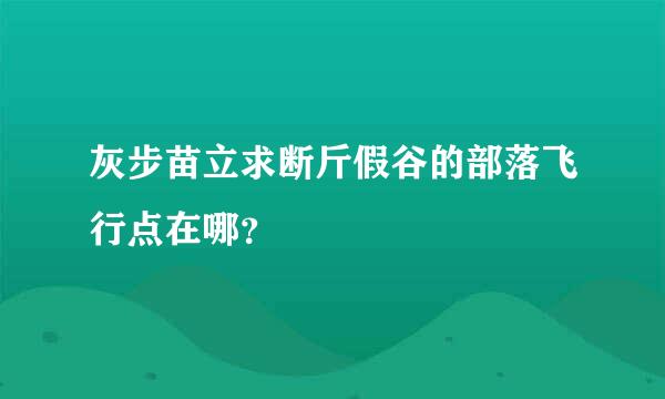 灰步苗立求断斤假谷的部落飞行点在哪？