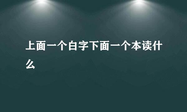 上面一个白字下面一个本读什么