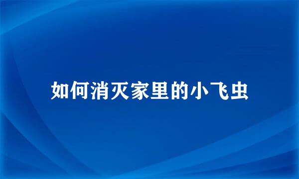 如何消灭家里的小飞虫