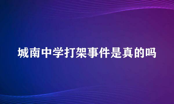 城南中学打架事件是真的吗