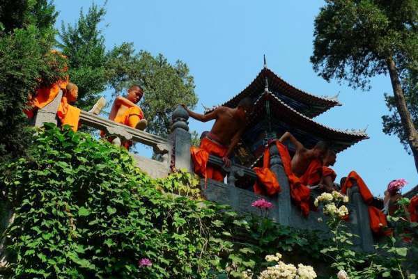 嵩山大法王寺的寺院概况