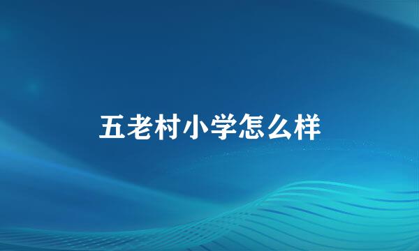 五老村小学怎么样