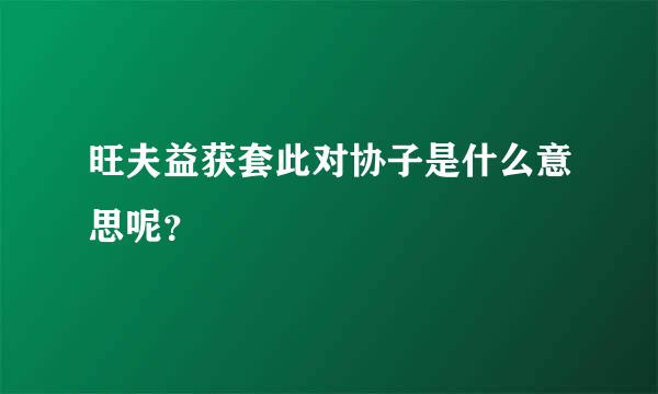 旺夫益获套此对协子是什么意思呢？