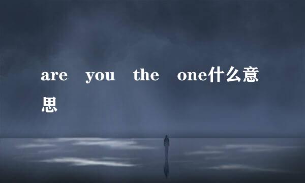 are you the one什么意思